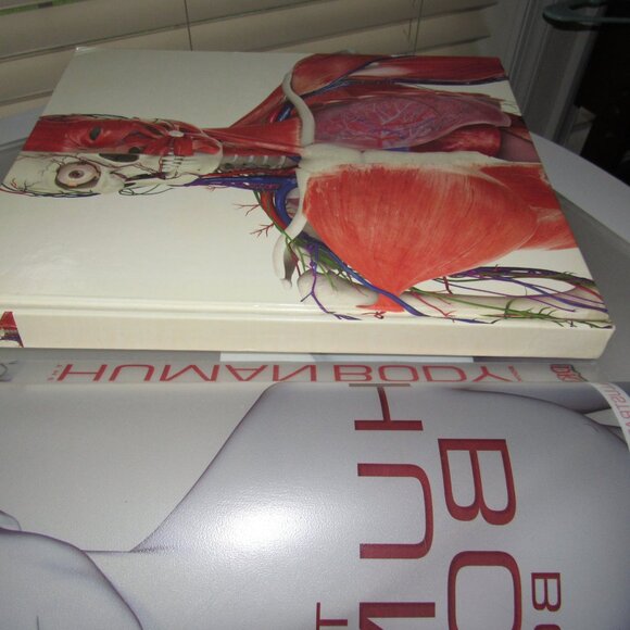 DK The Human Body Book with DVD – Illustrated Anatomy & Physiology Guide Hardcov - Picture 3 of 8